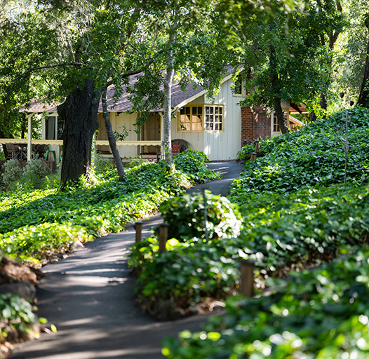 Westerbeke Ranch