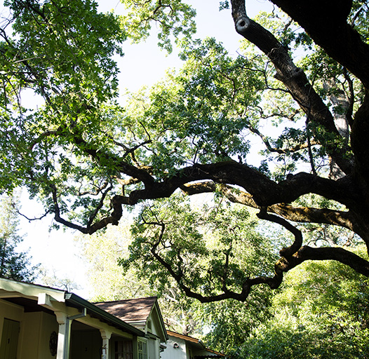 Westerbeke Ranch